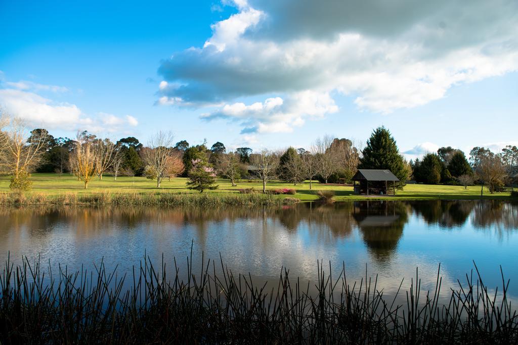 Sanctuary Park Cottages Healesville Exterior photo