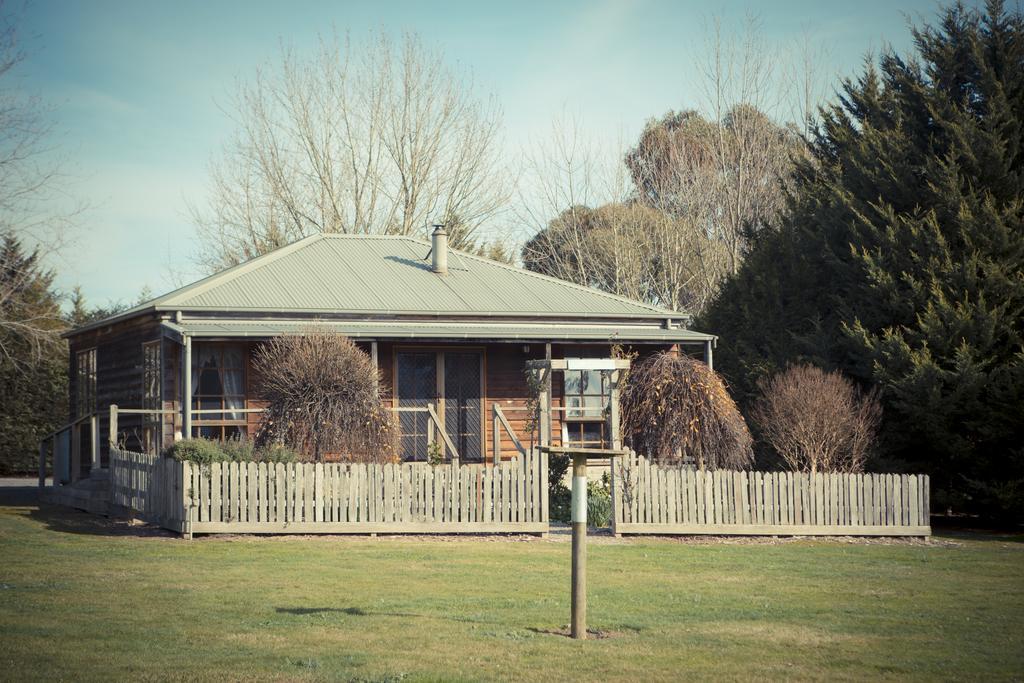 Sanctuary Park Cottages Healesville Room photo