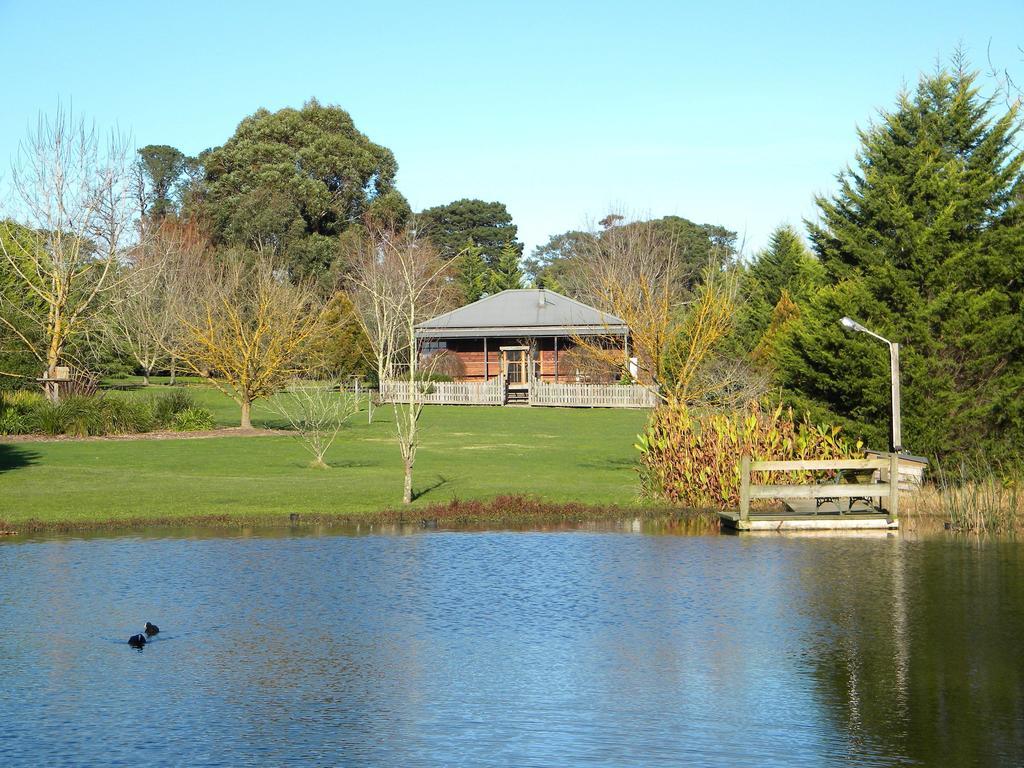 Sanctuary Park Cottages Healesville Room photo