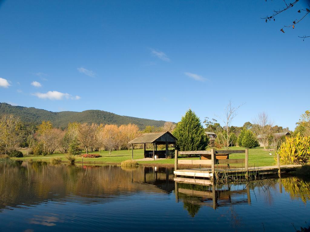 Sanctuary Park Cottages Healesville Exterior photo