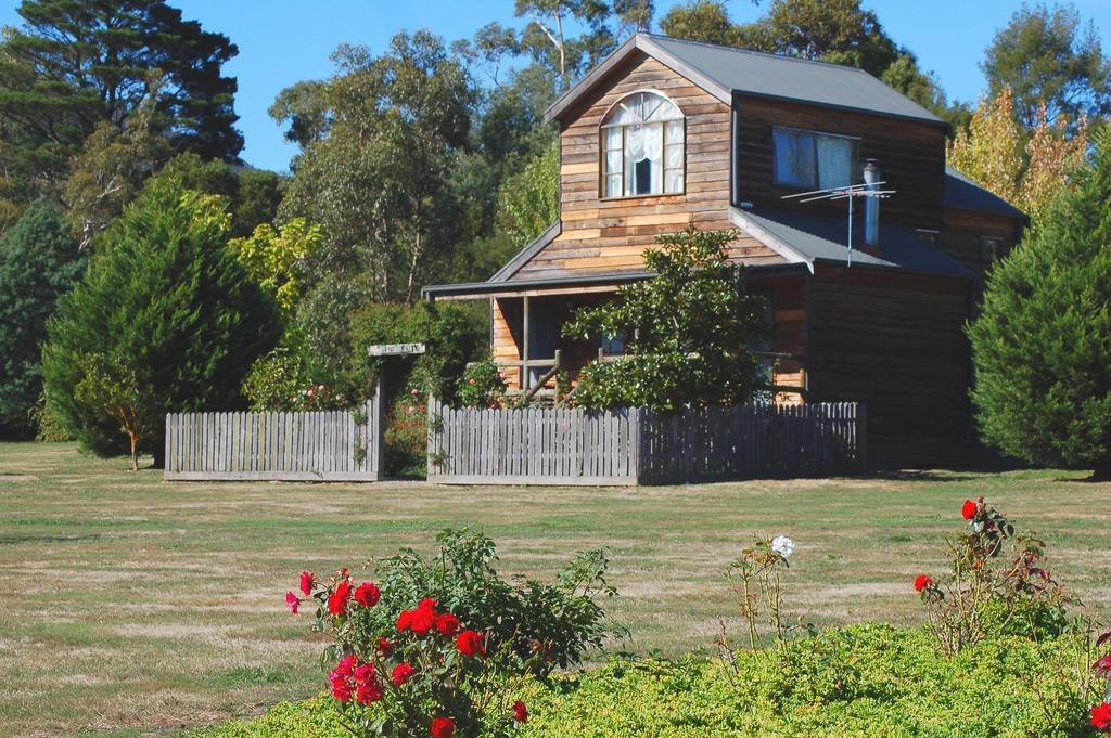 Sanctuary Park Cottages Healesville Room photo